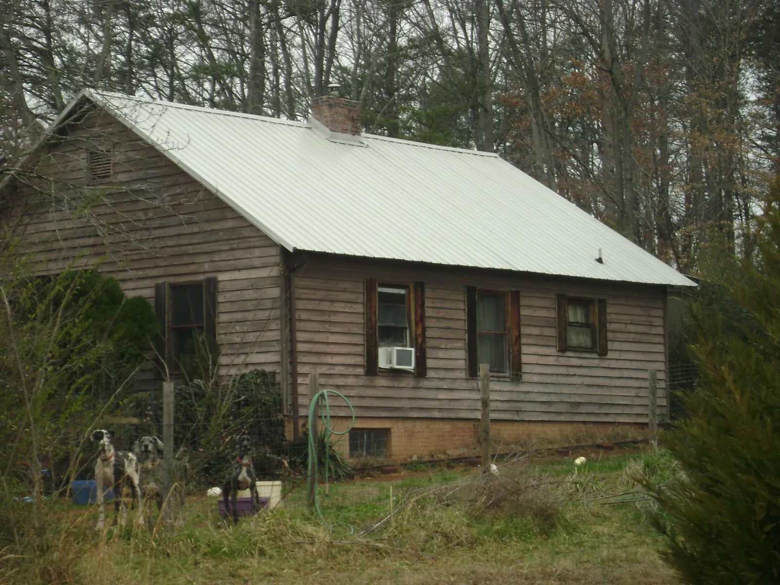 White metal roof on an old wood sided farmhouse, from a Asphalt Shingle Roof Repair job in Icard